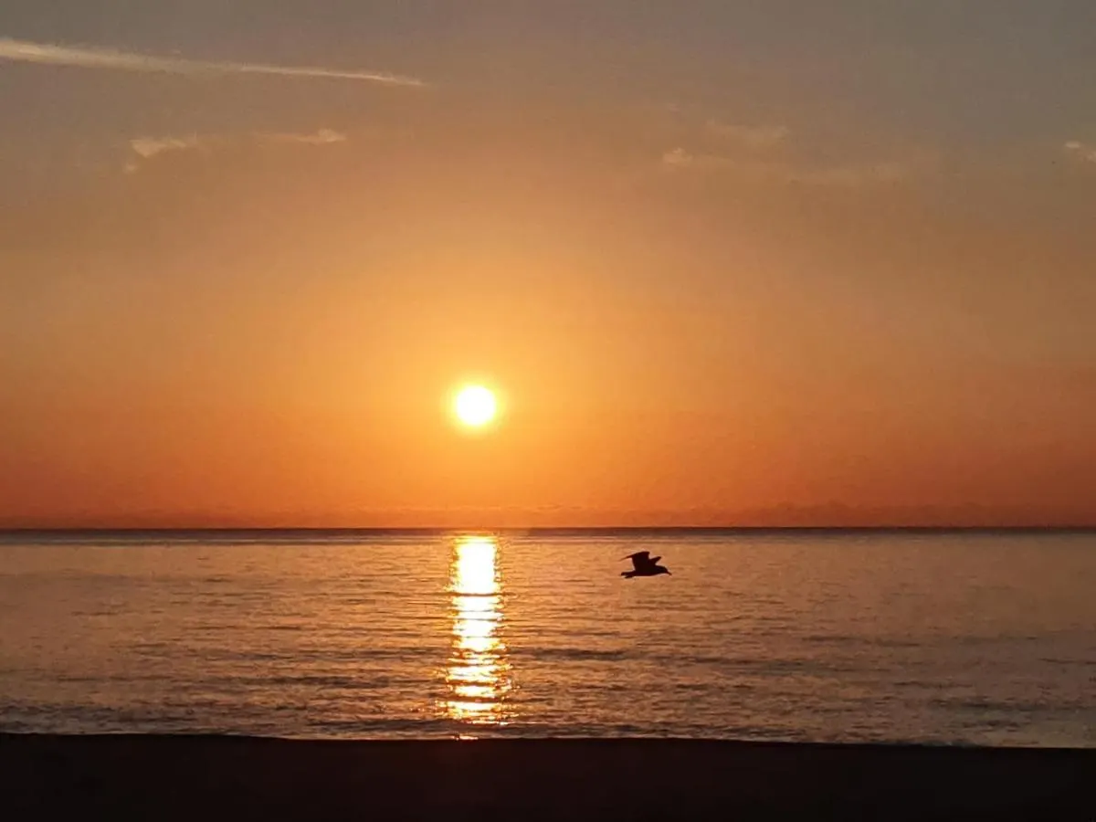 Apartamento El Sueno Mojacar 1ª Linea De Playa 0*,  Spain